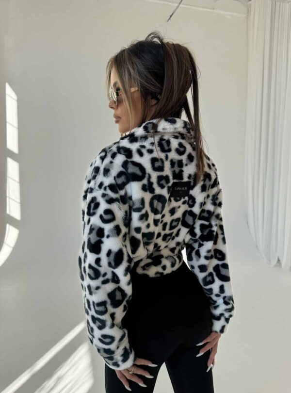 A2-35.jpeg A2-35.jpeg