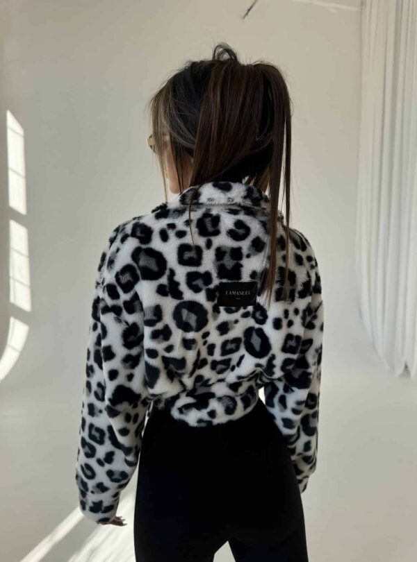 A3-29.jpeg A3-29.jpeg