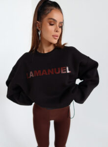 a1