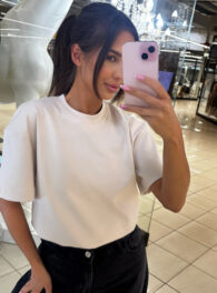 a1
