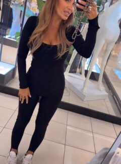 a1